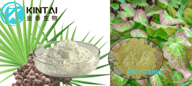 Saw Palmetto vs. Epimedium Extract Saw Palmetto vs. Epimedium Extract